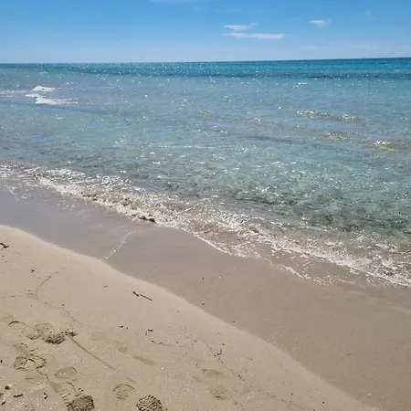 La Casa Gialla Vicino Le Spiagge Sabbiose Apartment *